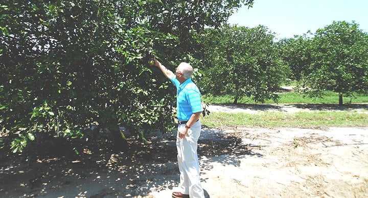 Rich picking apples