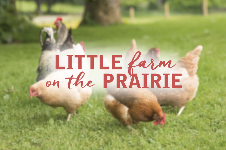 Little Farm on the Prairie