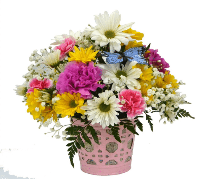 Floral