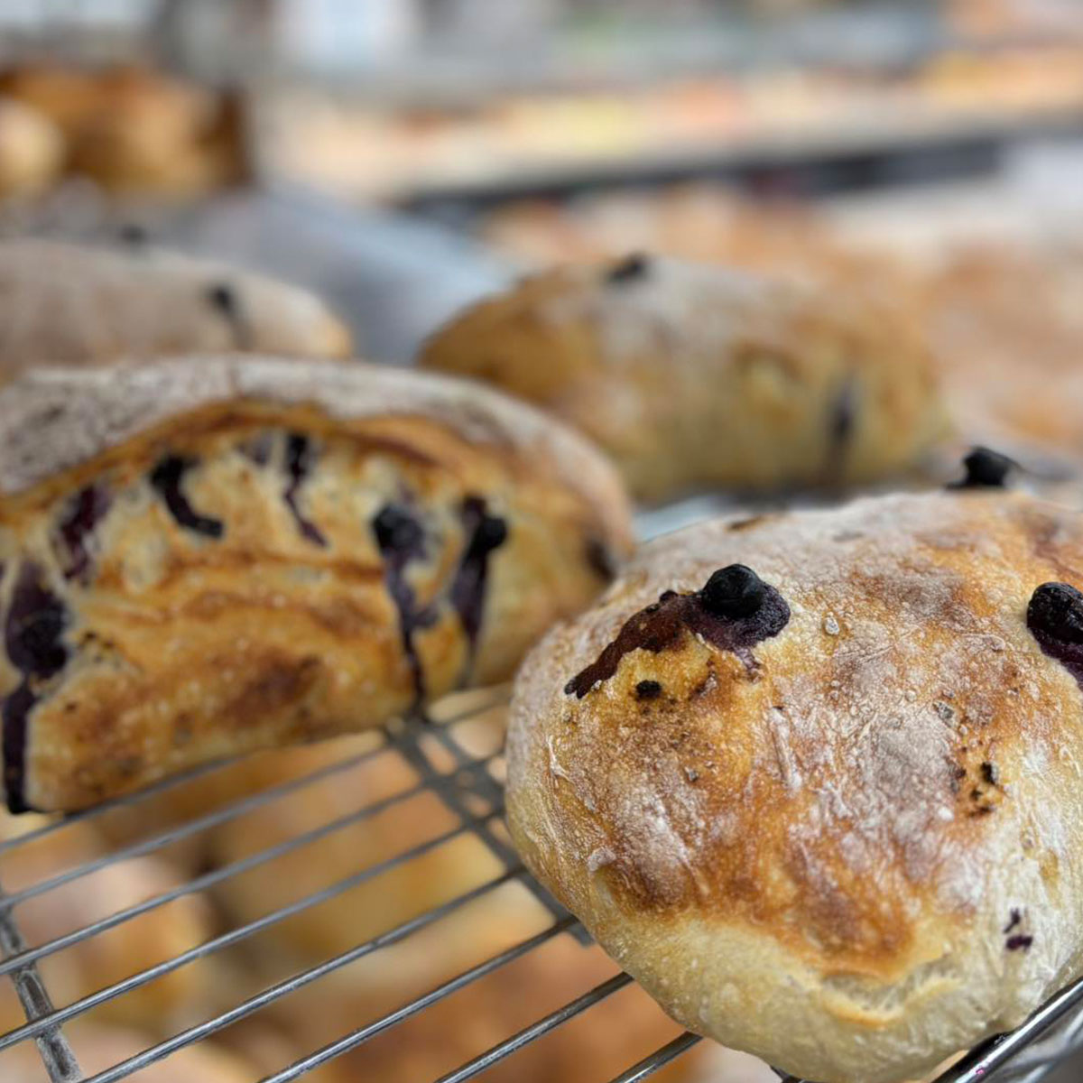 niemann harvest market lemon blueberry ciabatta