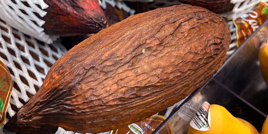 cacao pods at niemann harvest market