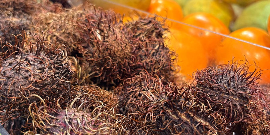 rambutan