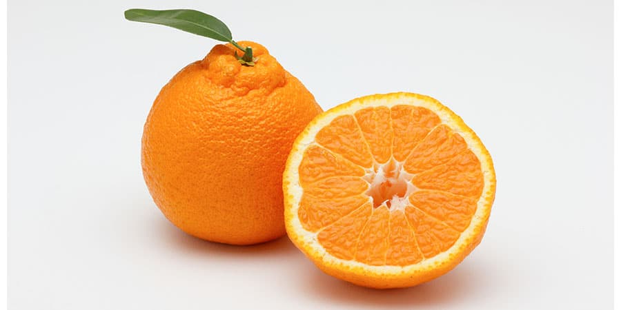 sumo-oranges